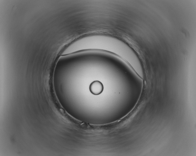 X0000114130201200910221511