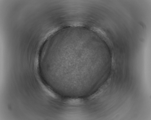 X0000114130202200910221511