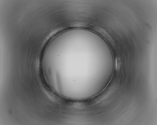 X0000114130204200910221511