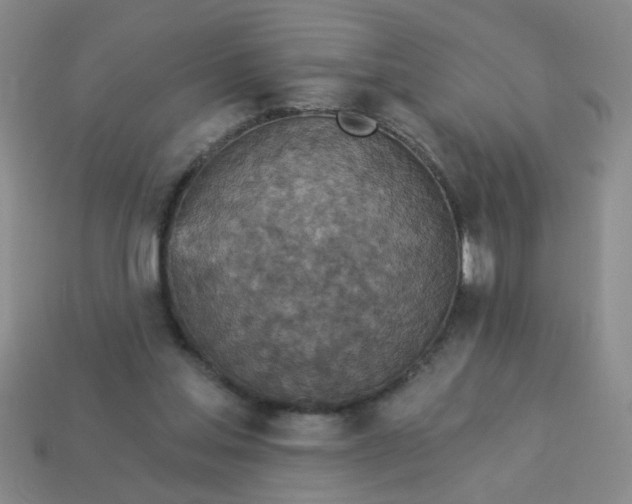 X0000114130205200910221511