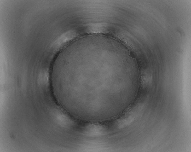 X0000114130207200910221511