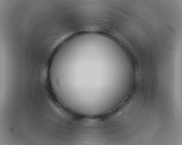 X0000114130208200910221511