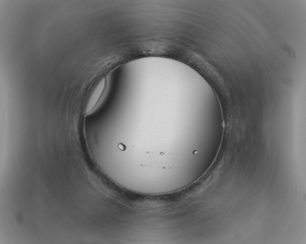 X0000114130209200910221511