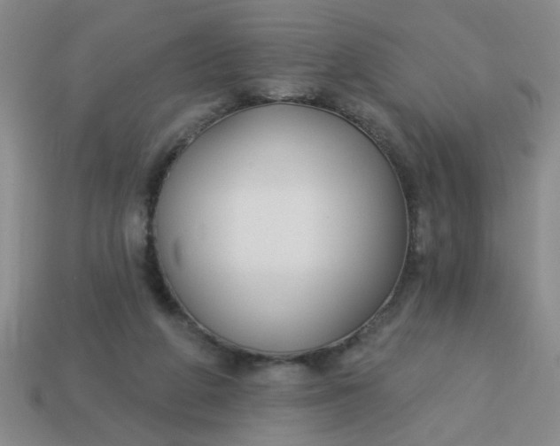 X0000114130210200910221511