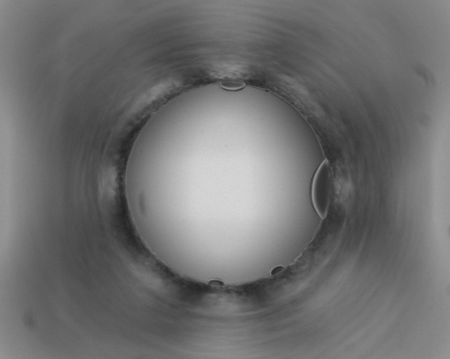 X0000114130211200910221511