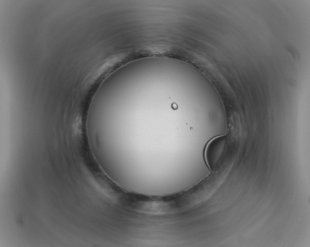 X0000114130212200910221511