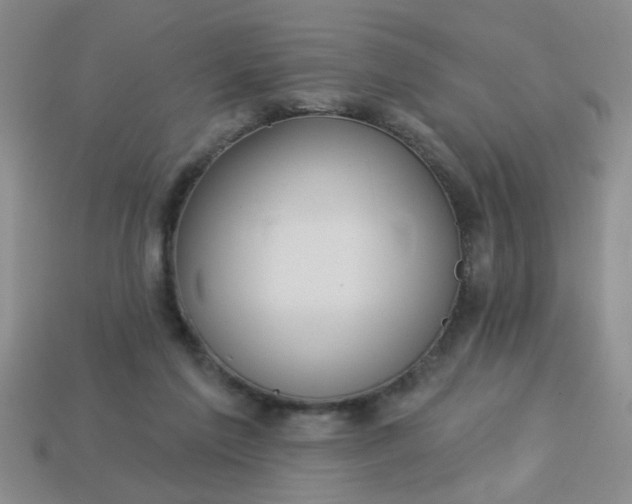 X0000114130213200910221511