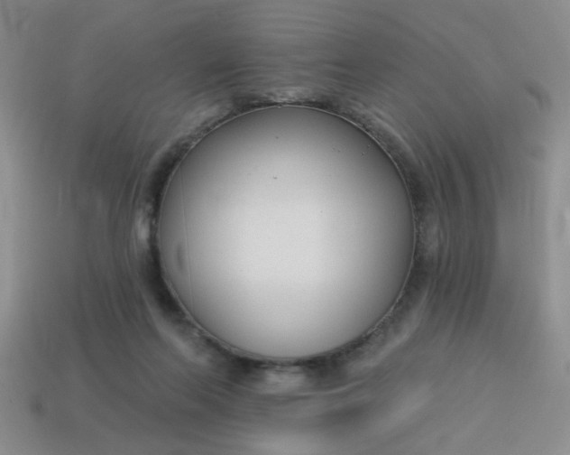 X0000114130214200910221511