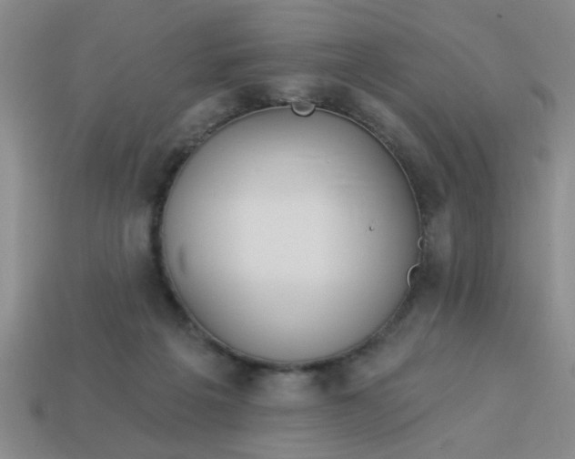 X0000114130217200910221511