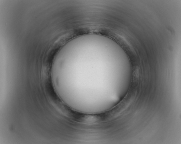 X0000114130218200910221511