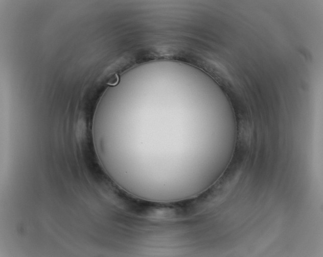 X0000114130220200910221511