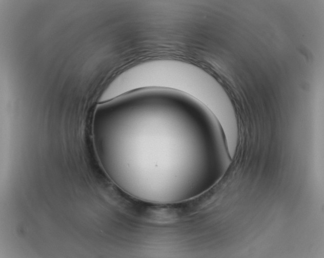 X0000114130221200910221511