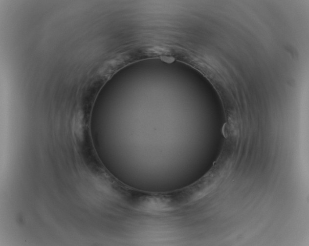 X0000114130223200910221511