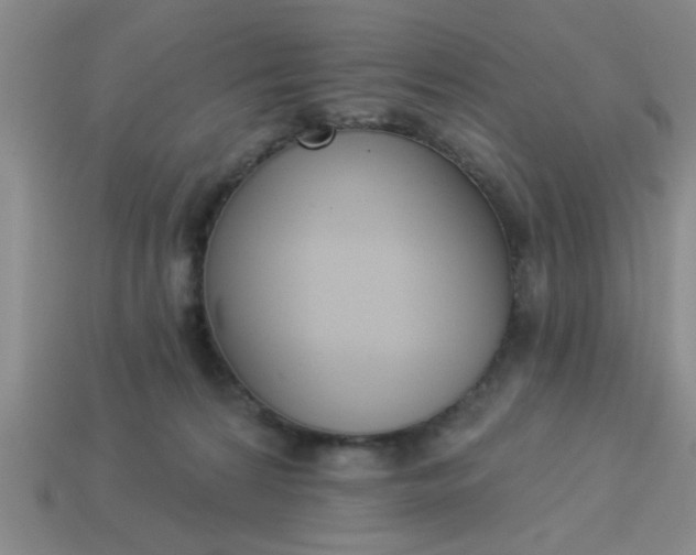 X0000114130224200910221511