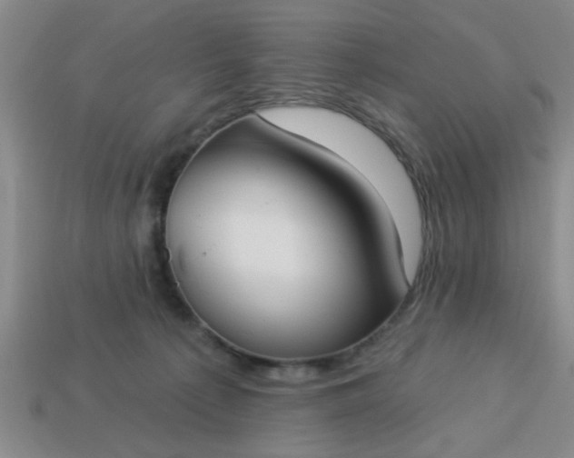 X0000114130225200910221511