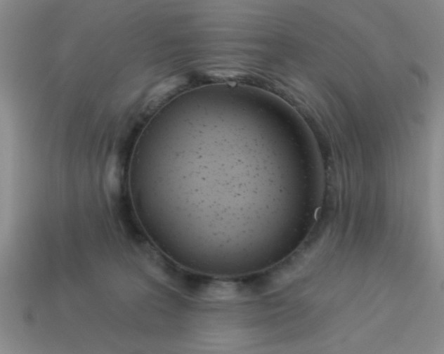 X0000114130227200910221511