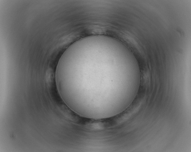 X0000114130228200910221511