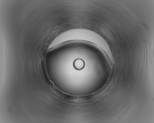 X0000114130229200910221511