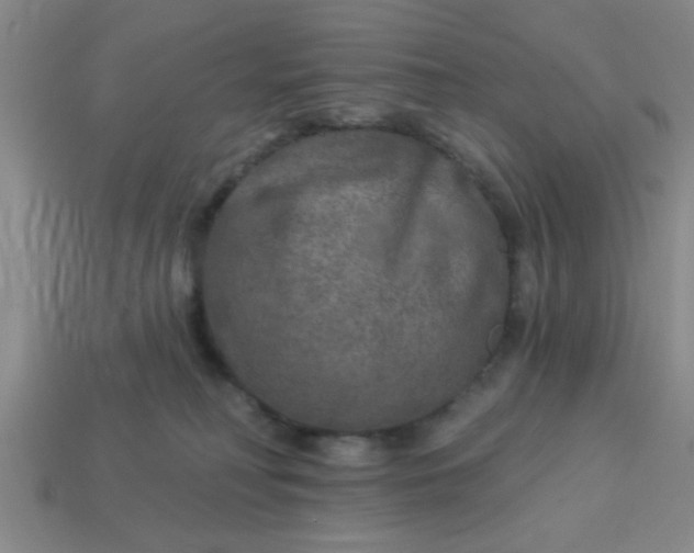 X0000114130230200910221511