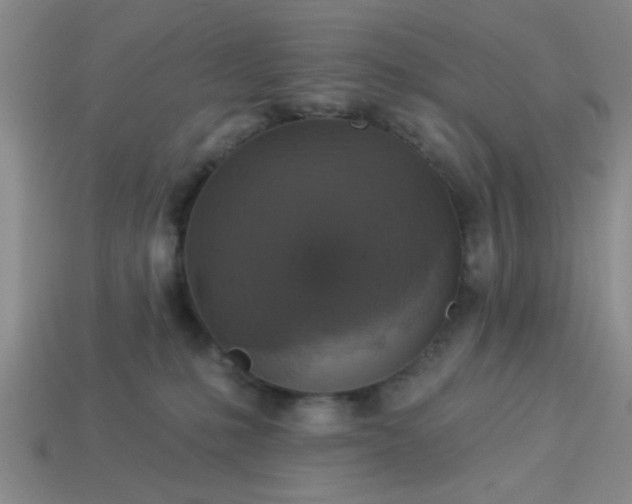 X0000114130231200910221511