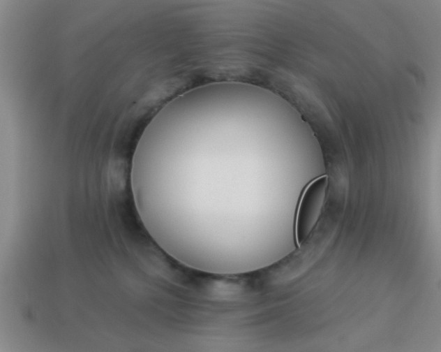 X0000114130232200910221511