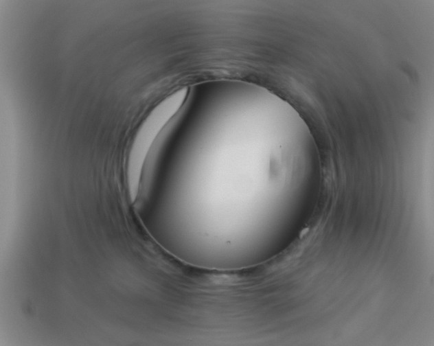 X0000114130233200910221511