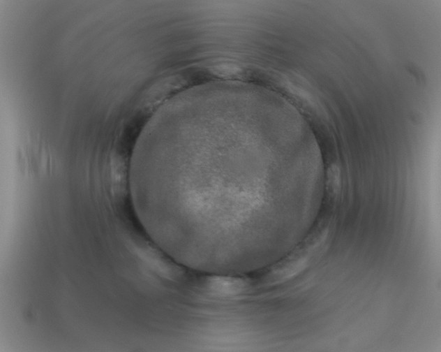 X0000114130234200910221511