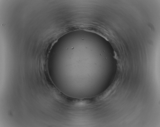 X0000114130235200910221511