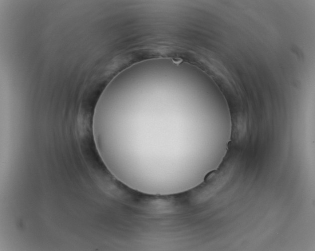 X0000114130236200910221511