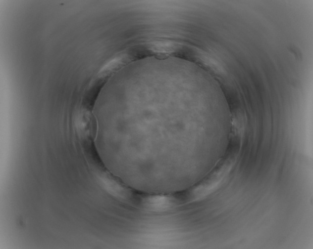 X0000114130237200910221511