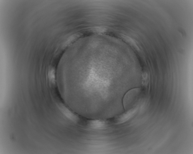 X0000114130238200910221511