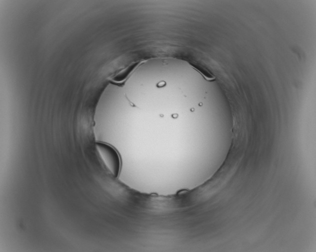 X0000114130240200910221511