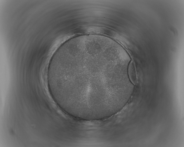 X0000114130241200910221510