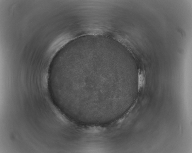 X0000114130243200910221510