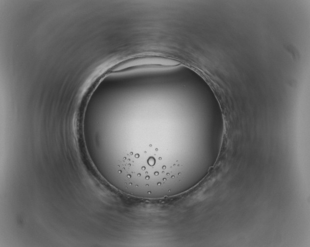 X0000114130244200910221510