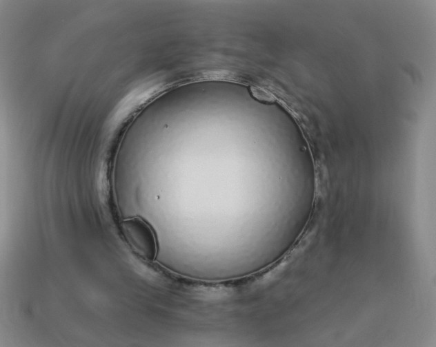 X0000114130245200910221510