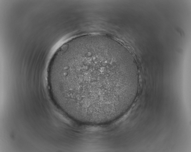 X0000114130246200910221510