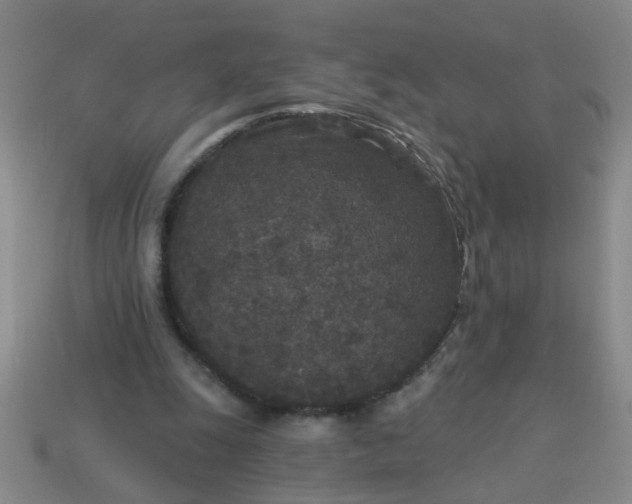 X0000114130247200910221510