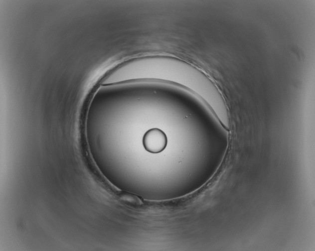 X0000114130248200910221510