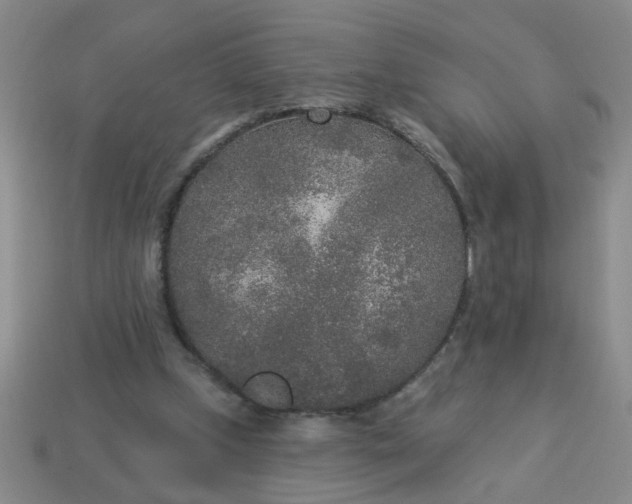 X0000114130249200910221510