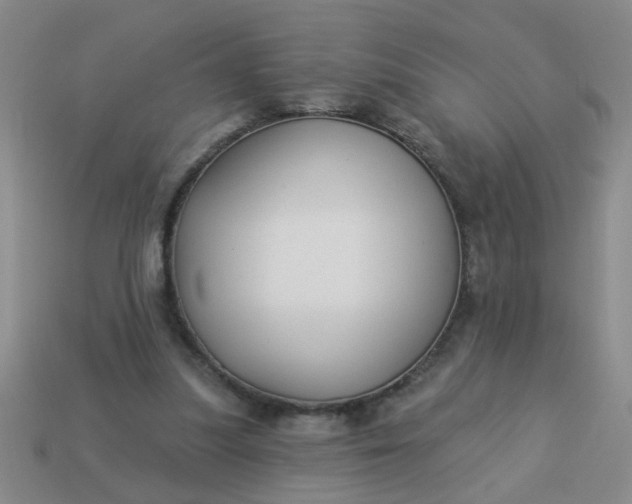 X0000114130251200910221510