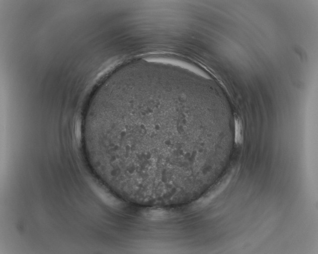 X0000114130253200910221510