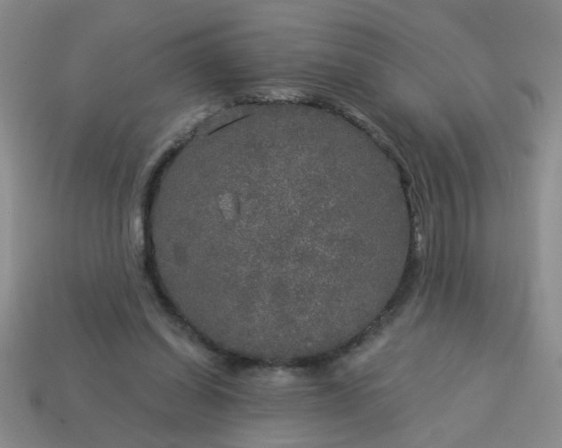 X0000114130254200910221510