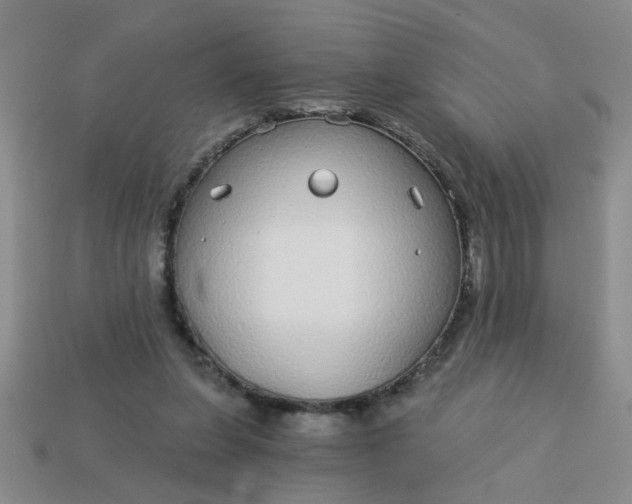 X0000114130255200910221510