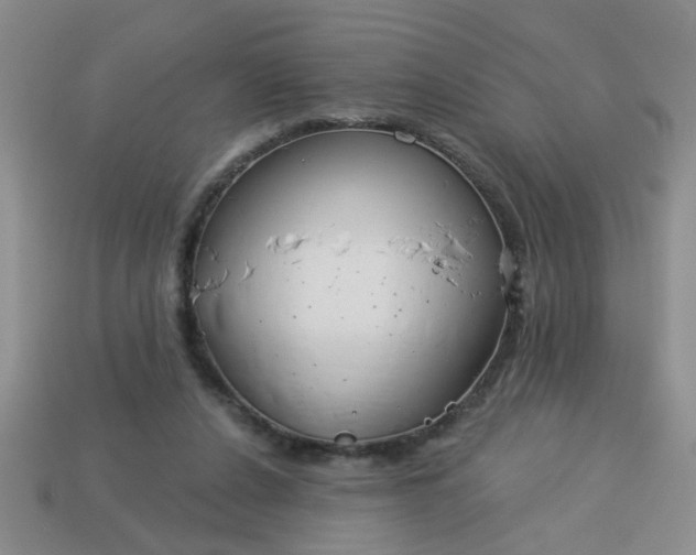 X0000114130256200910221510