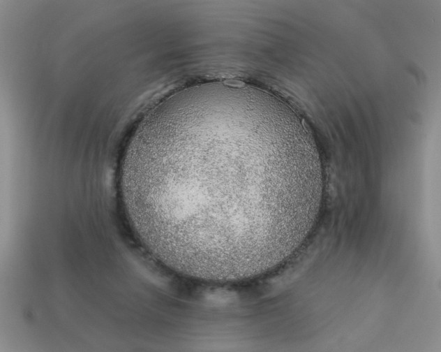 X0000114130258200910221510