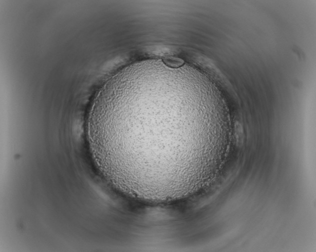 X0000114130259200910221510