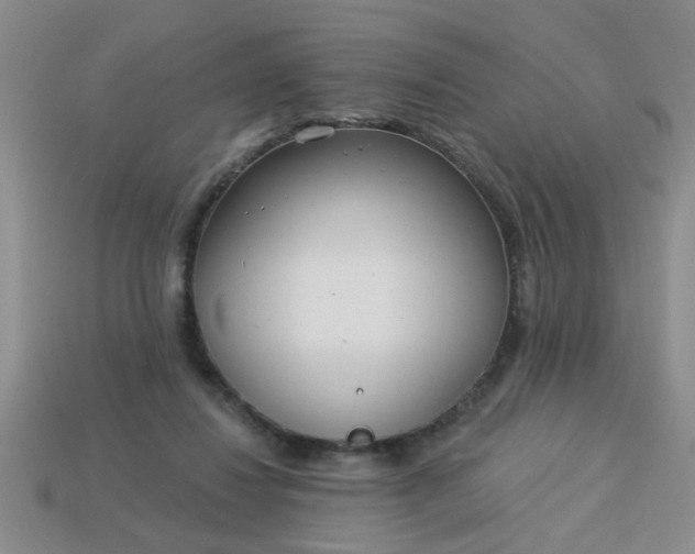 X0000114130260200910221510