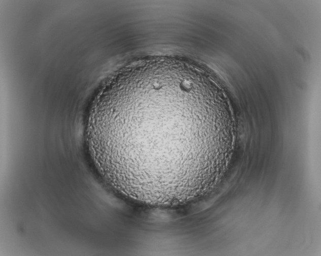 X0000114130261200910221510