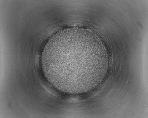 X0000114130263200910221510